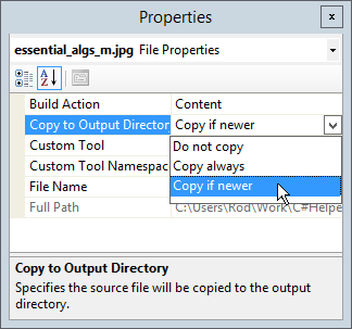 [Copy files into the executable directory in C#]