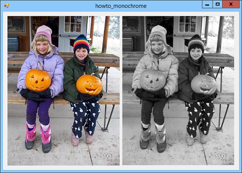 convert an image to monochrome